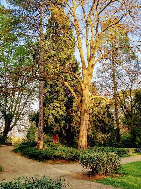 Hotel Eden Am Kurpark Bonn Exterior photo